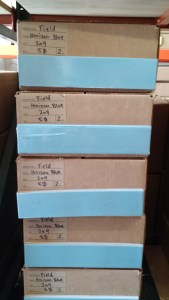 IMG_20150711_135754063