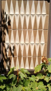 IMG_20150711_143014813